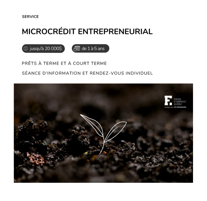 Microcrédit entrepreneurial : résumé de nos produits